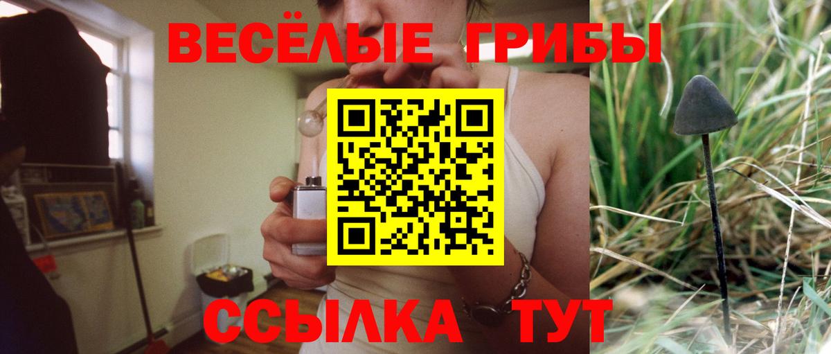 Псилоцибиновые грибы Psilocybine cubensis Зерноград